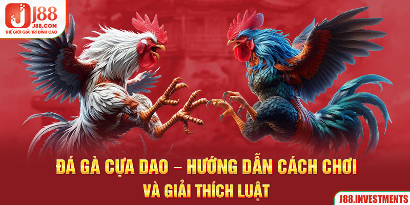 Đá Gà Cựa Dao - Hướng Dẫn Cách Chơi Và Giải Thích Luật