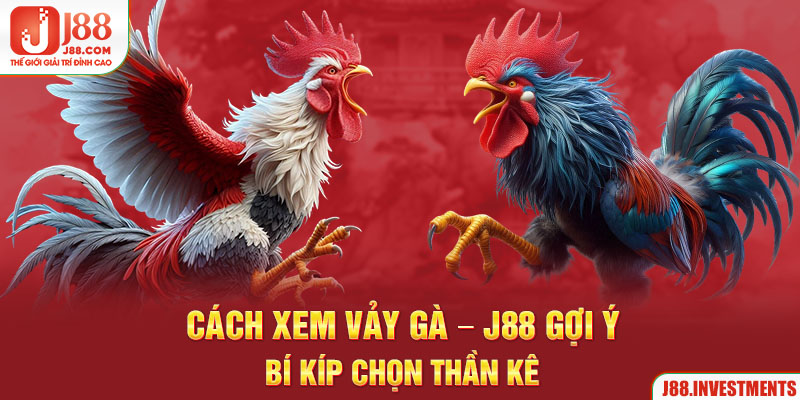 Cách Xem Vảy Gà - J88 Gợi Ý Bí Kíp Chọn Thần Kê